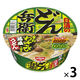 日清食品 日清のどん兵衛 重ねわさびが香る鶏塩うどん 1セット（3個）