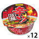 【アウトレット】麺のスナオシ 辛い！拉麺 1セット（1食×12） カップラーメン