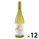 【ワゴンセール】チリ デル・スール シャルドネ 白ワイン 辛口 750ml 1セット（1本×12） モトックス