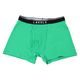 メンズ ビビット無地ロゴボクサーパンツ グリーン L LAKOLE/ラコレ