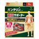 興和 バンテリンコーワ加圧サポーター 腰用固定タイプ 3L ブラック 413102