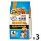 いなば すごい乳酸菌クランキー 総合栄養食 チキン味（190g×4袋入）国産 1セット（1袋×3）ドッグフード