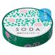 キングジム 透明マスキングテープ SODA（ソーダ）プランツ 幅10mm CMT10-009 1個
