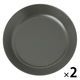 スプラッシュ柄プレート（L） チャコール 1セット（2枚） LAKOLE/ラコレ