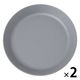 スプラッシュ柄プレート（S） グレー 1セット（2枚） LAKOLE/ラコレ