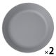 スプラッシュ柄プレート（L） グレー 1セット（2枚） LAKOLE/ラコレ