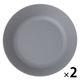 スプラッシュ柄プレート（M） グレー 1セット（2枚） LAKOLE/ラコレ