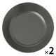 スプラッシュ柄プレート（M） チャコール 1セット（2枚） LAKOLE/ラコレ