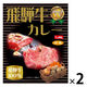 飛騨牛カレー 飛騨牛100％ 中辛 1人前・250g 1セット（1個×2）覇楼館 レトルト 北野エース