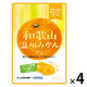 和歌山温州みかんグミラブレ乳酸菌入 グミ ご当地 1セット（1個×4） カネカ食品