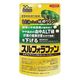 しじみの入った牡蠣ウコンスルフォラファン 20日分 1袋 井藤漢方製薬
