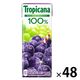 キリンビバレッジ トロピカーナ 100％グレープ 250ml 紙パック 1セット（48本）