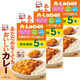 永谷園 Aラベル あたためなくてもおいしいカレー甘口【5年保存】 1個セット（3個）