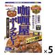 レトルトカレー カリー屋ポークカレー 中辛 1人前180g 148kcal 1セット（5個） レンジ対応 ハウス食品