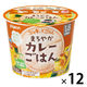 【1歳6ヶ月頃から】ぷちキッズごはん まろやかカレーごはん 1セット（1個×12） ピジョン