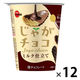 チョコレート菓子 食べきりサイズ じゃがチョコ 37g 1セット（1個×12）