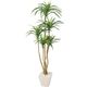 ポピー 人工樹木／人工観葉植物 ユッカ GLA-1198 グリーン 1鉢 幅520×奥行520×高さ約1200mm インテリアグリーン