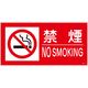 グリーンクロス 禁止行為標識 KK-1 横 300x600 禁煙 6300004795 1枚