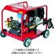 スーパー工業 エンジン式 高圧洗浄機 SERー3010ー5 1台 859-1137（直送品）