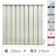 TOSO 【1cm単位】 プロ仕様 遮光 縦型ブラインド 幅250cm×高さ210cm ホワイト tf6512-250x210rr 1台（直送品）