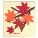 藤久 和紙でつくるちぎり絵ミニ 秋 もみじ 1袋