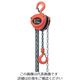 スリーエッチ HHH チェーンブロック 定格荷重2t 揚程3m R-CB 2TON 1台 808-7222（直送品）