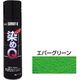 染めQテクノロジィ エアゾール エバーグリーン 70ML #00197670870000 1本（直送品）