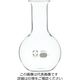 柴田科学 平底フラスコ 200mL 10入 010510-200A 1箱(10個)（直送品）