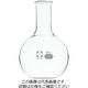 柴田科学 平底フラスコ 500mL 10入 010510-500A 1箱(10個)（直送品）