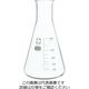 柴田科学 三角フラスコ 300mL 10入 010530-300A 1箱(10個)（直送品）