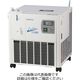柴田科学 低温循環水槽 クールマン Cー585型 051140-585 1台(1個)（直送品）
