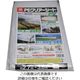 松浦工業 PEクリアーシート(M)約2・7X3.6M 4984834576442 1個(1枚)（直送品）