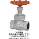 東洋バルヴ グローブ弁【ネジ込・CR13】 16ーDGーNー50A 1個（直送品）