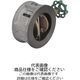 東洋バルヴ FCDウイングチェッキ弁【要部CAC・消防評定/認定品】 (F)20ーDNWー65A 1個（直送品）