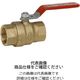 東洋バルヴ 黄銅ボール弁 600RBーNー15A 1個（直送品）