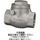 東洋バルヴ SCS13スイングチェッキ弁【JV8ー1適合品】 UNSーNー15A 1個（直送品）