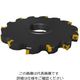 セコ・ツールズ・ジャパン フライス サイドカッタ335.18 R335.18ー160.1012.40ー6N 1個（直送品）