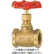 キッツ A 青銅グローブ弁 【100型】 A-65A 1台（直送品）