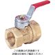 キッツ TY 黄銅ボール弁【150型・温水装置用】 TY-25A 1台（直送品）