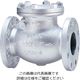 キッツ 10SRBF FCDスイングチャッキ弁【フランジ】 10SRBF-125A 1台（直送品）