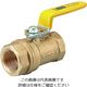 キッツ TG 黄銅ボール弁【ガス一般配管用・400型】 TG-80A 1台（直送品）
