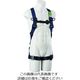 サンコー タイタン TBハーネス LL (墜落制止用器具) TBN-10B-LL 1本 195-2002（直送品）