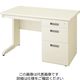 生興 W1100片袖机 LCSー117CG 1台（直送品）