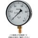 カクダイ 汎用圧力計（Aタイプ） 649-871-05B 1個（直送品）