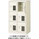 三島精器 シューズボックス(2列3段 6人用 扉付) BST2ー3HMXN 1台（直送品）