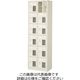 三島精器 シューズボックス(2列6段 12人用 扉付) BST2ー6HMXN 1台（直送品）