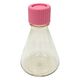 アズワン ビオラモディスポ滅菌三角フラスコ 250mL ノーマルキャップ 12個入 SEF250N 1箱(12個) 4-2671-05（直送品）