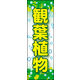 のぼり旗 観葉植物 02  W600×H1800mm 1枚 田原屋（直送品）
