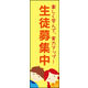 のぼり旗 生徒募集 02  W600×H1800mm 1枚 田原屋（直送品）