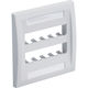 パンドウイットコーポレーション PANDUIT フェースプレート 10ポート用 オフホワイト CFPE10IW-2GY 1個（直送品）